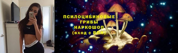 винт Алексин
