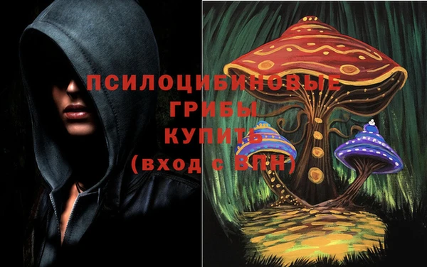 винт Алексин