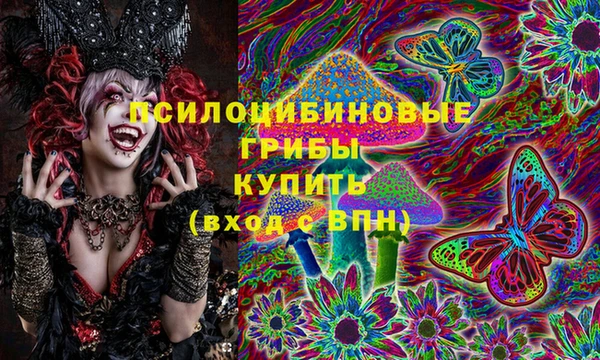 твердый Алексеевка