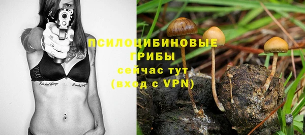 твердый Алексеевка