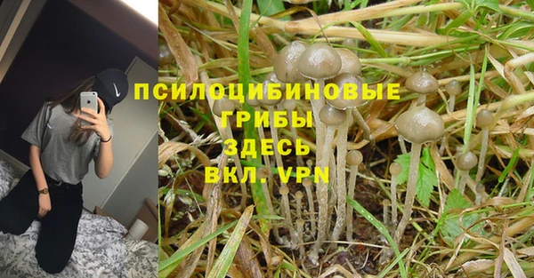 ешки Алзамай