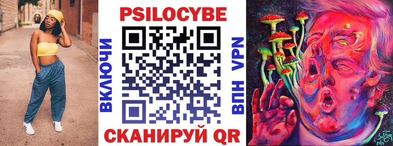 Псилоцибиновые грибы Cubensis Константиновск